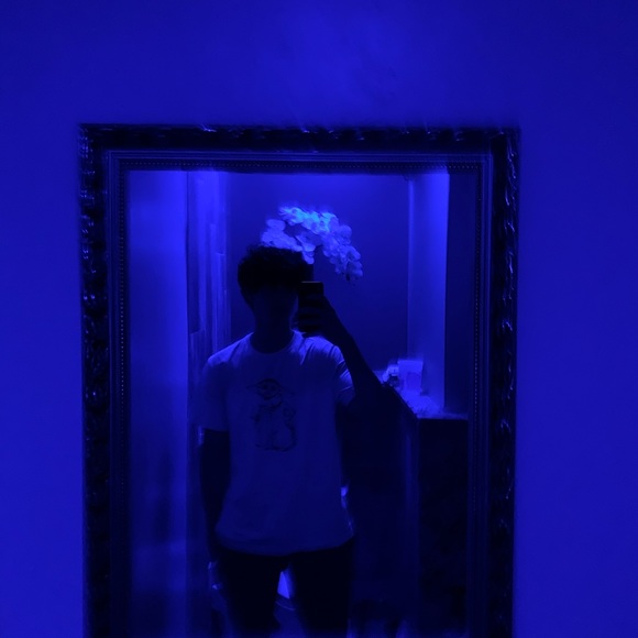 Meet your Posher, Jorge daniel - Picture 1 of 1